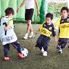 【アルバイト】松戸市の”楽しい”サッカーコーチ募集！