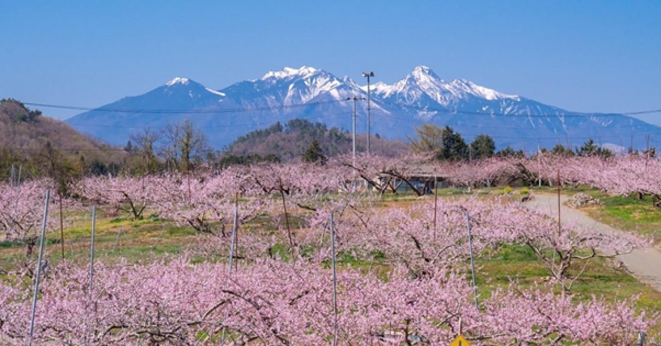 山梨県韮崎市の地域おこし協力隊を募集します！スタッフ求人