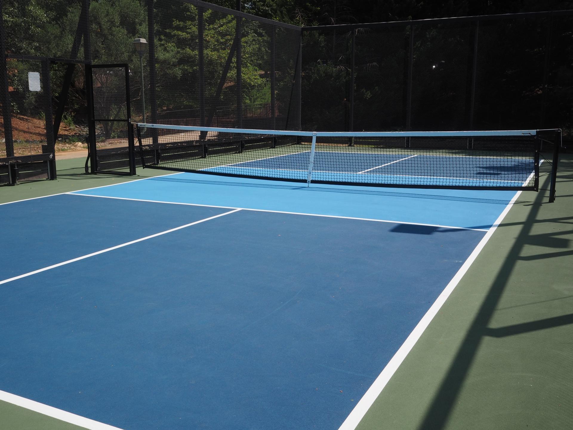 ピックルボールコーチ大募集！スタッフ求人