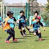 【アルバイト】柏市近郊サッカーコーチ＆運営スタッフ募集中！